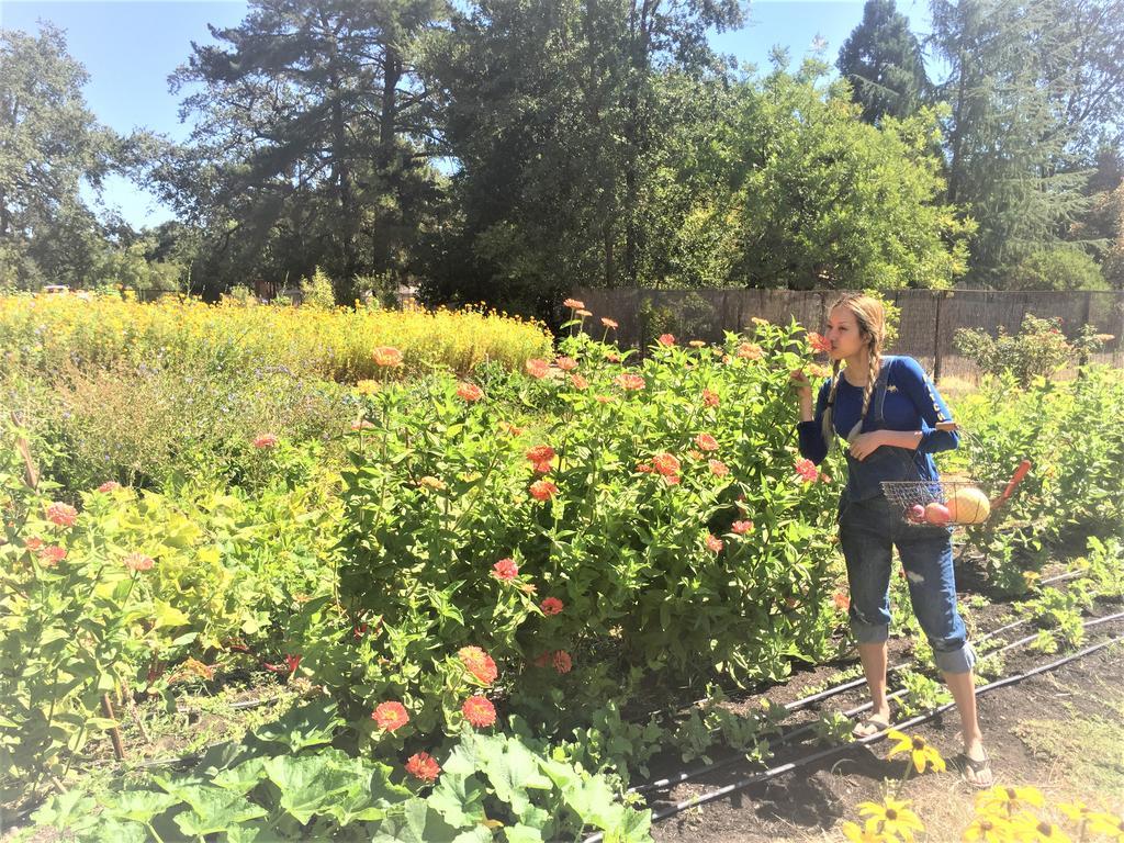 Napa Farmhouse Inn Света Елена Екстериор снимка