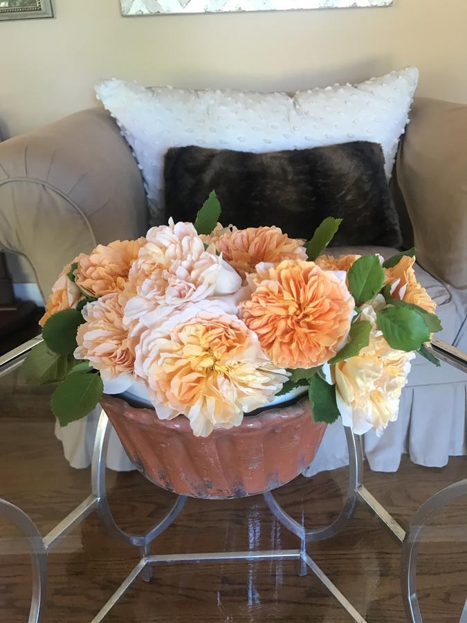 Napa Farmhouse Inn Света Елена Екстериор снимка